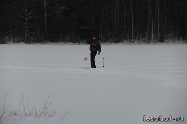 IMG_6581.JPG