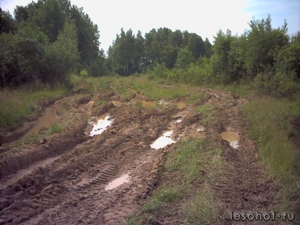 DMC_0437.JPG