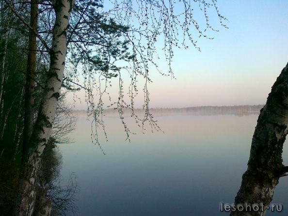 06052012004.jpg