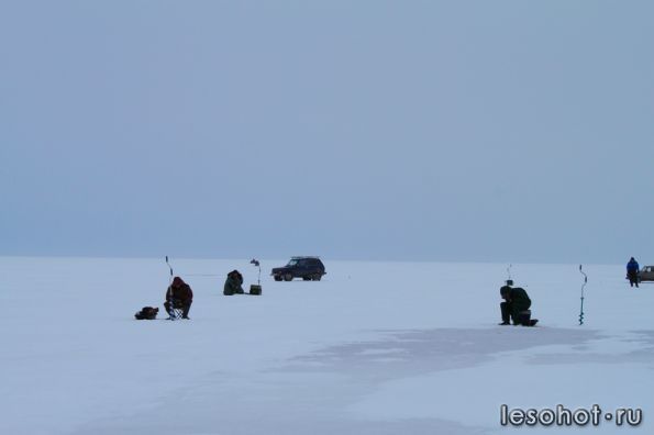 IMG_9413.jpg