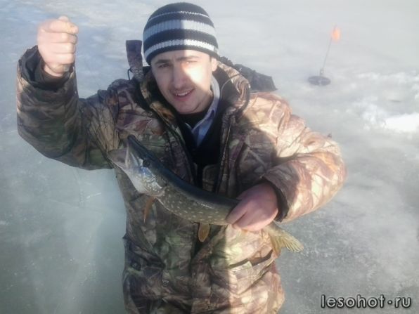 2014-03-09 11.38.20.jpg