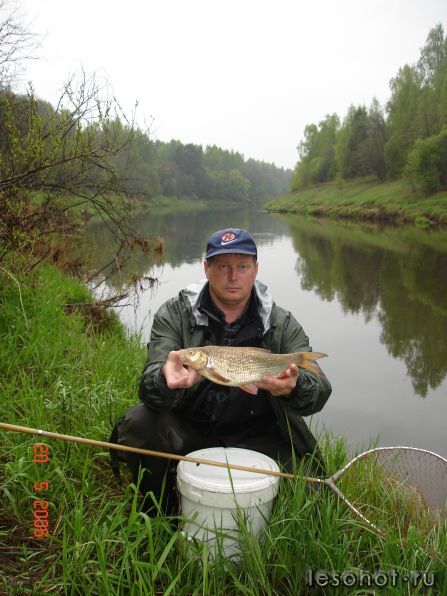  2006