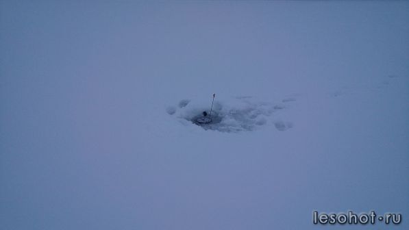20161227_132859.jpg