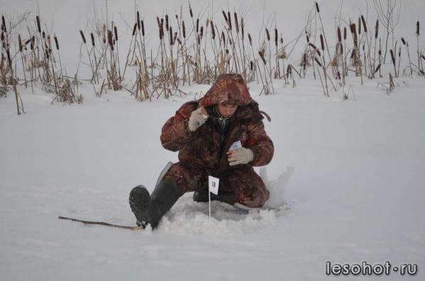 DSC_1059.JPG