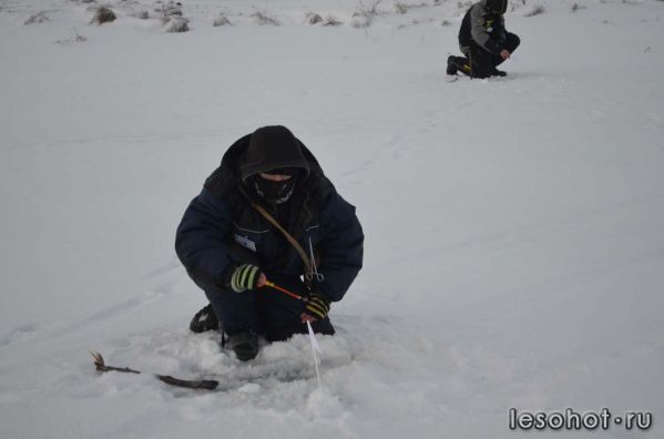 DSC_1038.JPG
