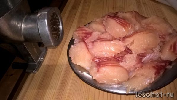 photo_00045.jpg