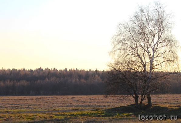 0_70467_6b2f0e7f_XXXL.jpg