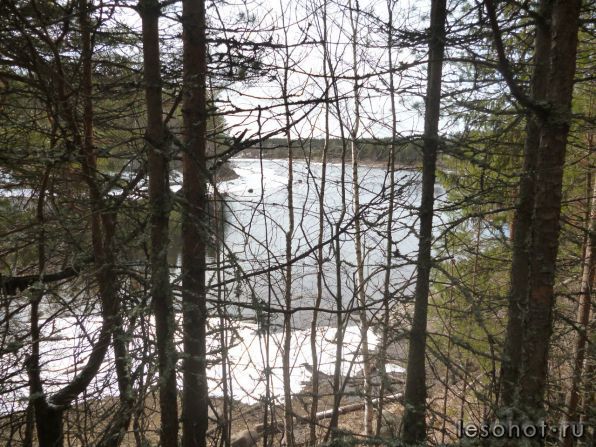 photo_00003.jpg