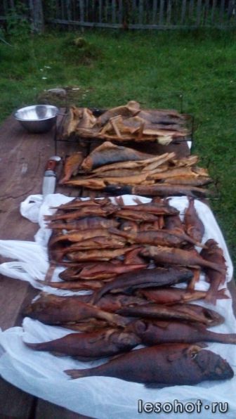 photo_00385.jpg