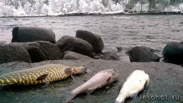 photo_00105.jpg