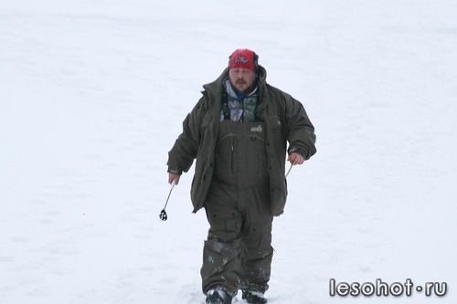 0_95d7e_af9527fe_L.jpg
