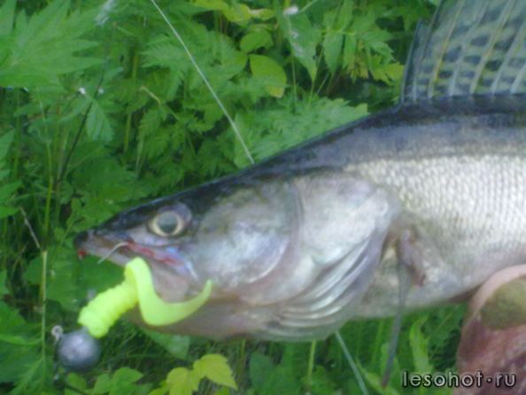 22062011215.jpg