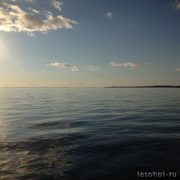 photo_00100.jpg