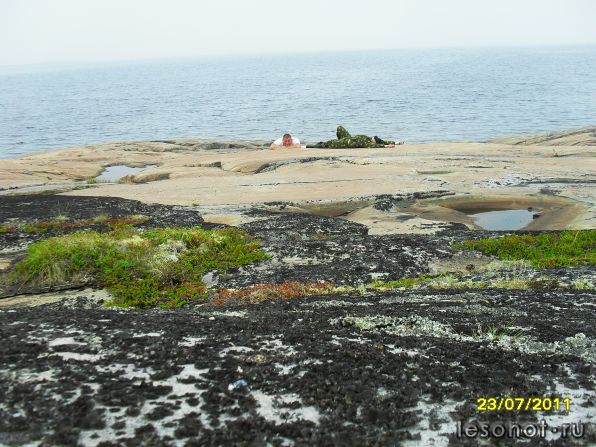 SDC12034.JPG