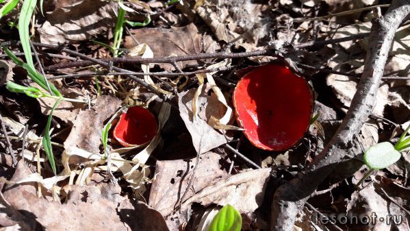 20180509_095030.jpg
