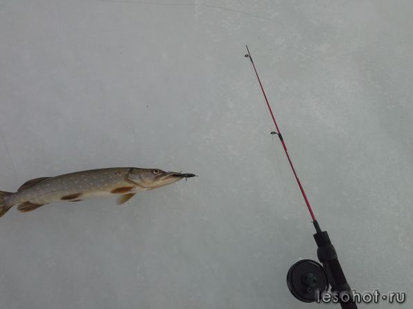 20131225_153734.jpg