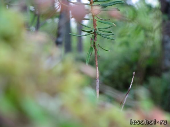 IMG_0890.JPG