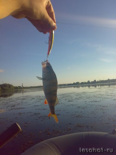 270720121904.jpg