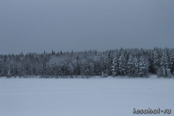 IMG_8898.JPG