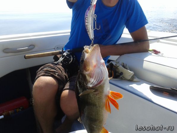 20140727_142429.jpg