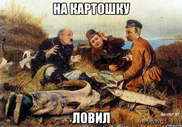 5261233061.jpg