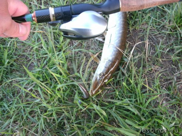 �������� ������� 28.05.2017