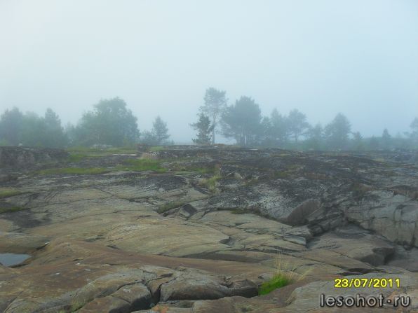 SDC12024.JPG