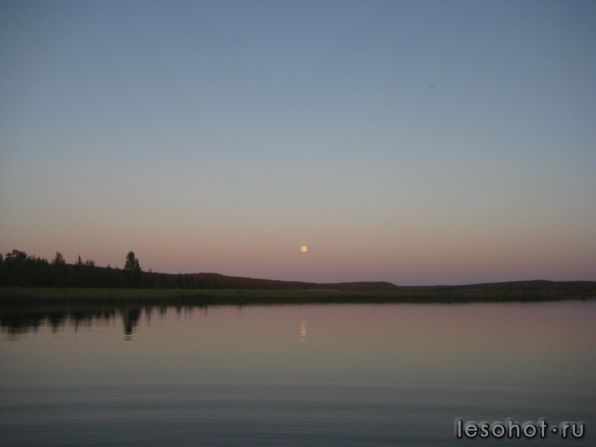 IMG_0050.JPG