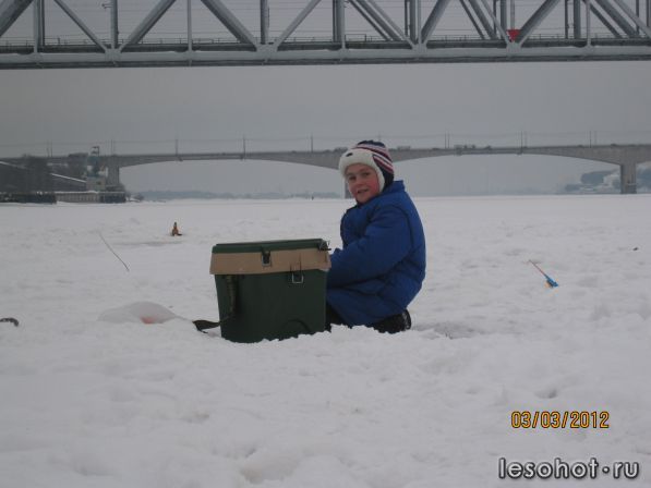 IMG_0166.jpg