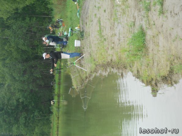 DSCN3433.JPG