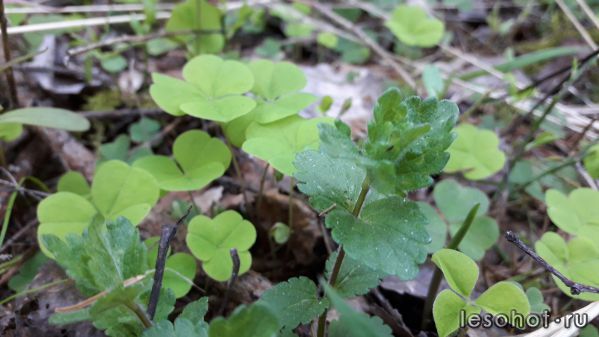 20180509_071927.jpg