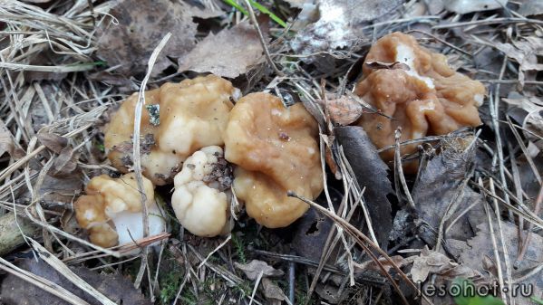 20180509_081646.jpg