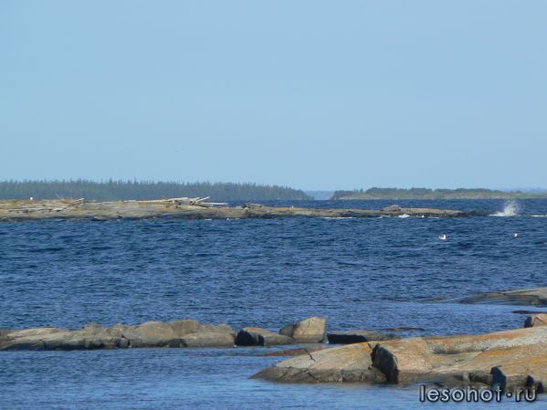 P1000685.JPG