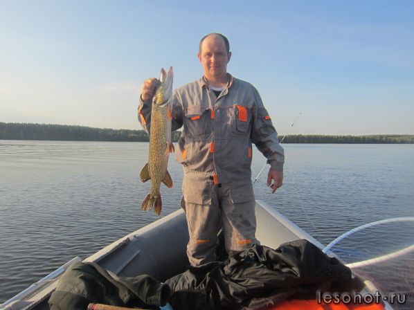 IMG_3121.JPG
