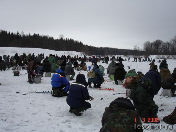  2008.