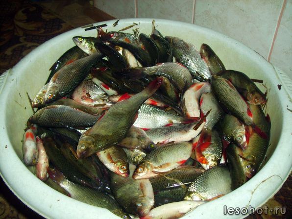 PICT0005.JPG