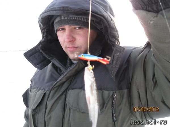 IMG_1517.JPG