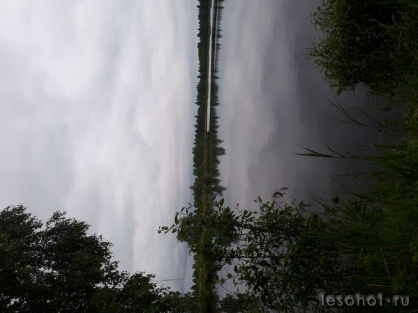 20180613_184905.jpg