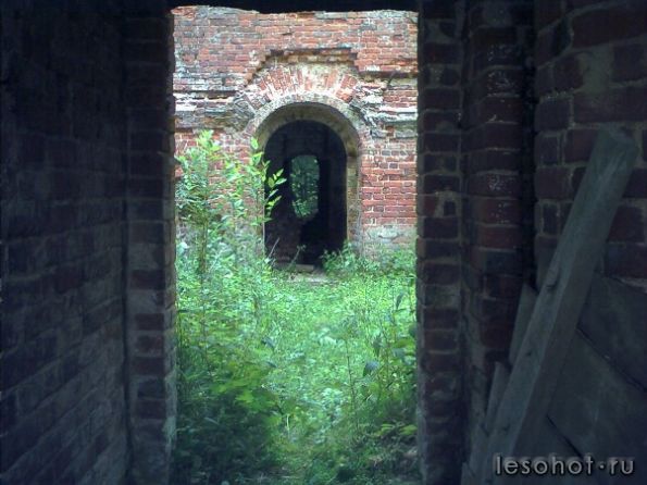 DMC_0434.JPG