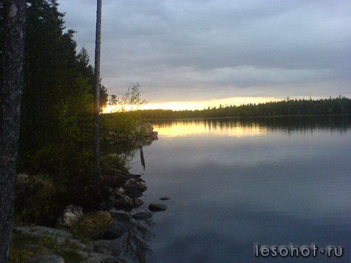 photo_00209.jpg