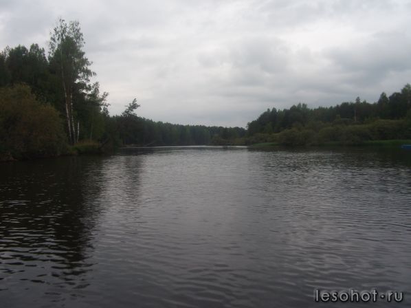 DSCF2769.JPG