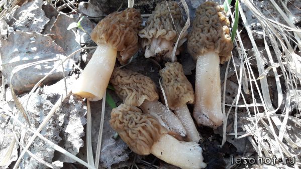 20180509_092321.jpg