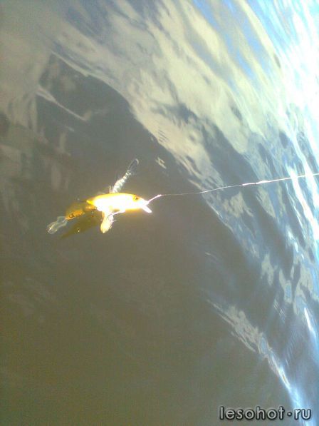 �������� ������� 09.11.2013.jpg