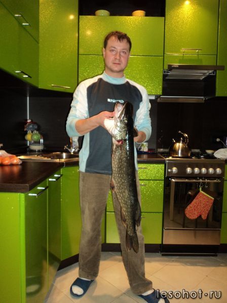 DSC06604.JPG