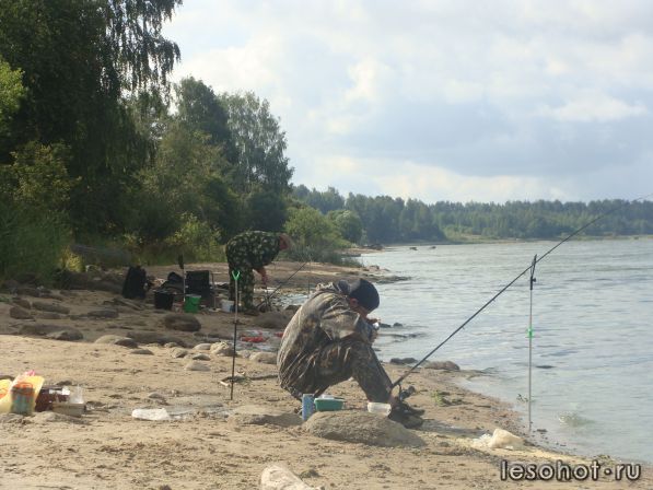 DSC04224.JPG