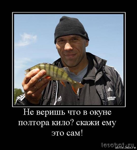 73689254.jpeg
