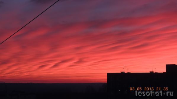 DSCN0310.JPG