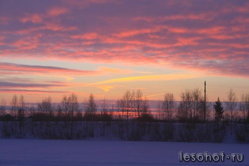 0_96d99_46f4318e_L.jpg