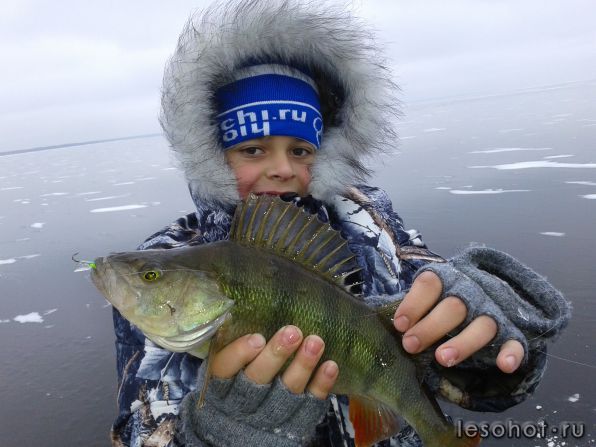 20141123_104511.jpg
