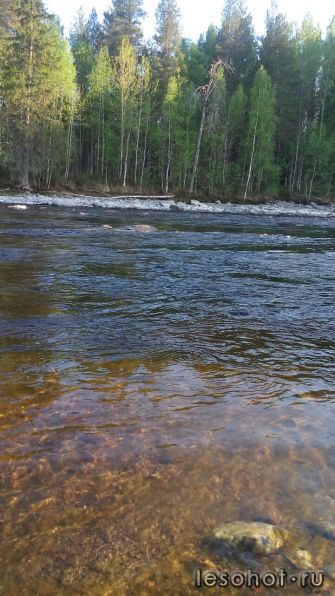 photo_00329.jpg